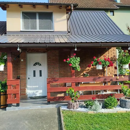 Apartament Viktorija Bajina Basta